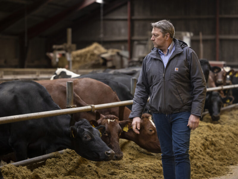 A Danish dairy farmer