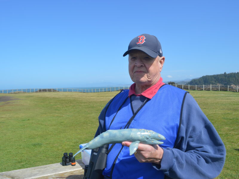 A man holds a small gray whale.