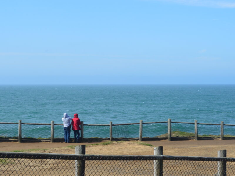 People look at the ocean.