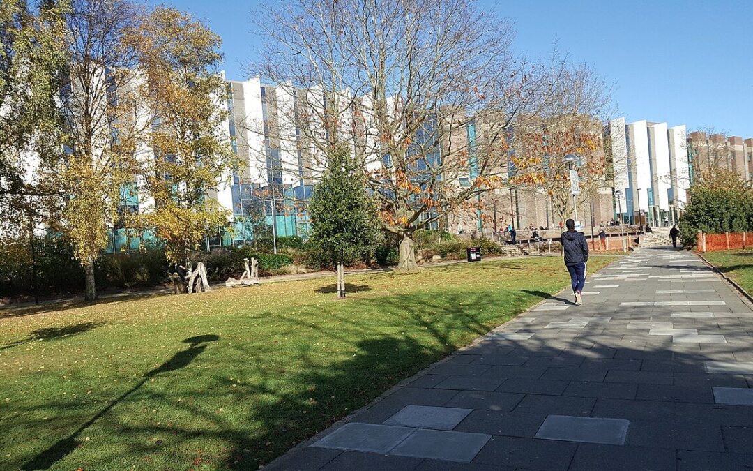 UK launches student loan inquiry after rising anger over repayment terms