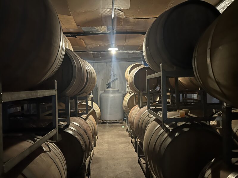 La imaginacion al poder (Power to the imagination, in Spanish), a small, DIY finca that sits outside of the city of Mendoza, has been brewing wine since 2020 using organic techniques. March 12, 2026. (Lucia Cholakian Herrera/Courthouse News Service)