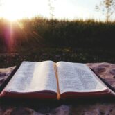 A book lies open on a rock as the sun shines over a field of tall grass.