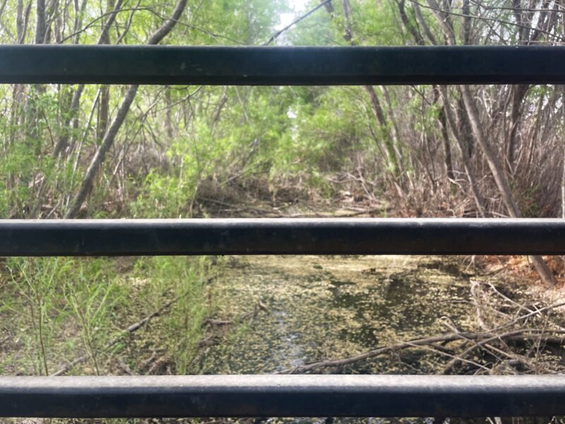 Shallow water collects in a narrow wooded channel viewed through the rails of a bridge.