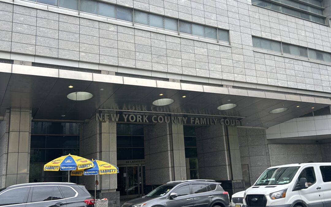 New York high court clears kids to appeal custody rulings without parents