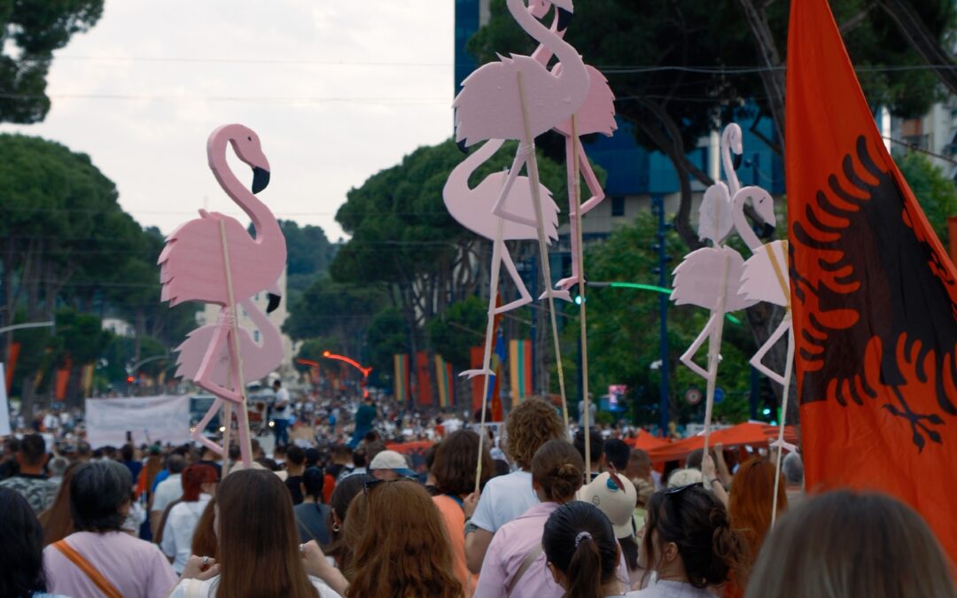As bulldozers roll, ‘flamingo revolution’ erupts in Albania against Kushner-Trump luxury resort