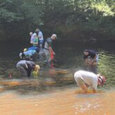 People bend down in water