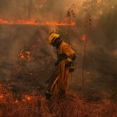 Firefighter carries hose while battling wildfire
