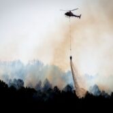 A helicopter dangles a bucket releasing water onto a line of trees as smoke rises into the sky.