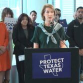 Texas state Rep. Vikki Goodwin speaks at a podium during a press conference calling for a moratorium on data centers in Texas.
